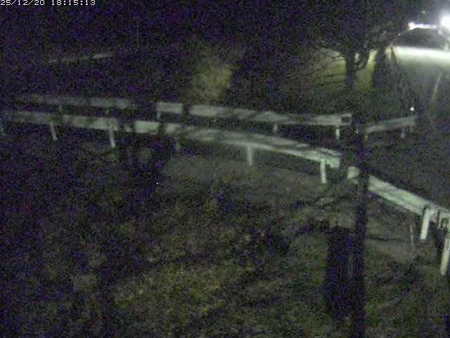 取得できませんでした