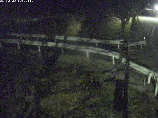 取得できませんでした