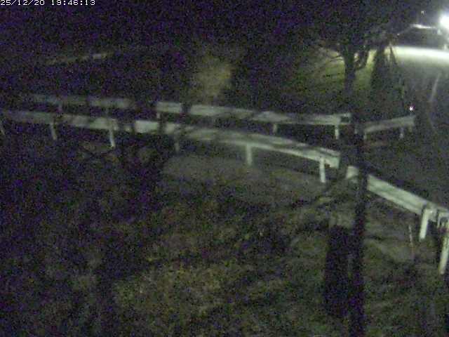 取得できませんでした