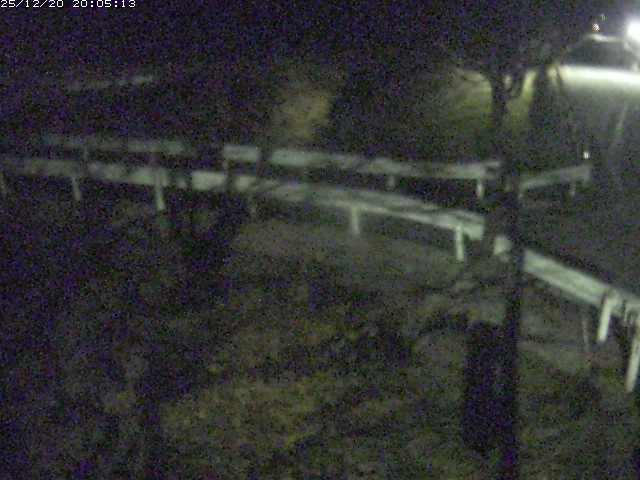 取得できませんでした