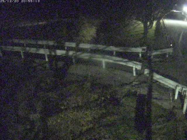 取得できませんでした