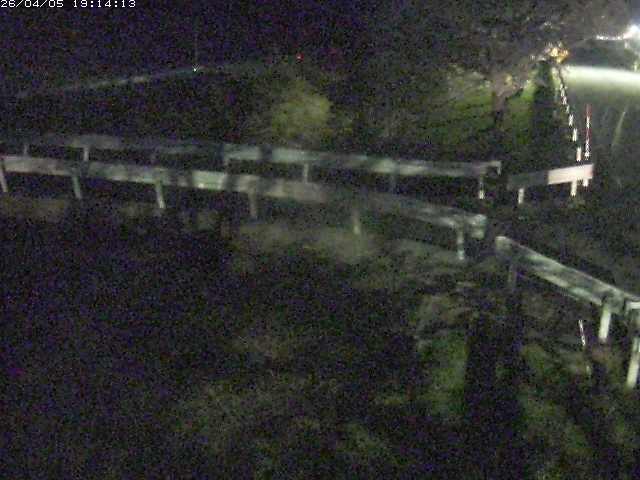 取得できませんでした