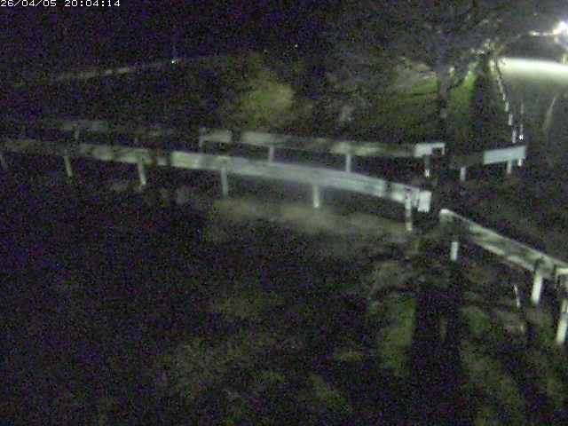 取得できませんでした