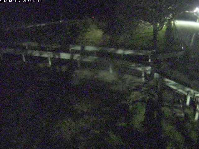 取得できませんでした