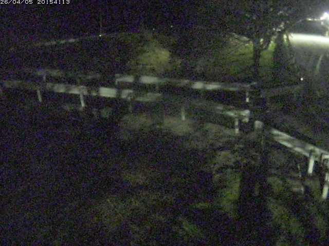 取得できませんでした