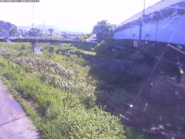 取得できませんでした