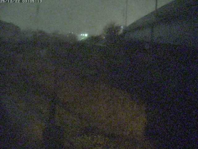 取得できませんでした