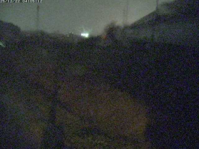 取得できませんでした