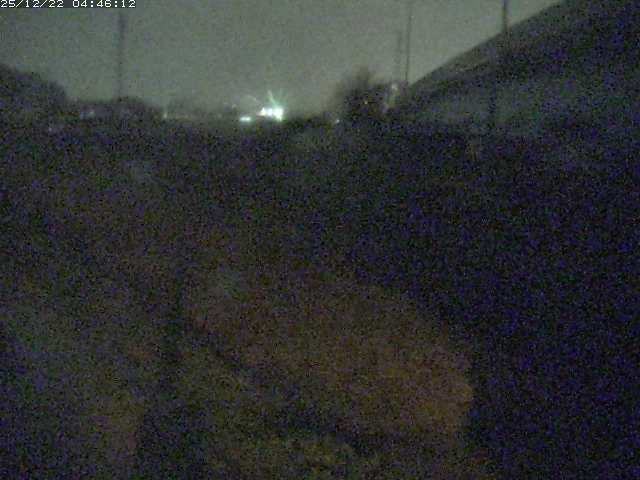 取得できませんでした