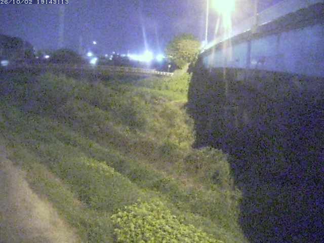 取得できませんでした