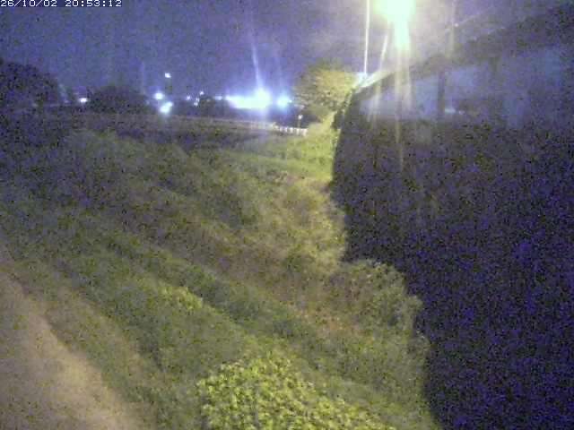 取得できませんでした