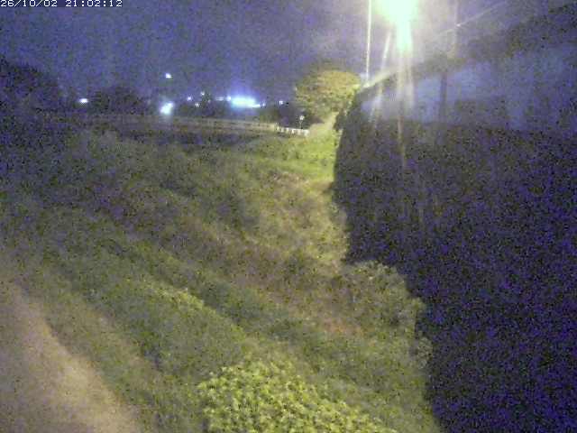 取得できませんでした