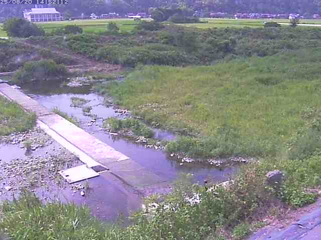 取得できませんでした