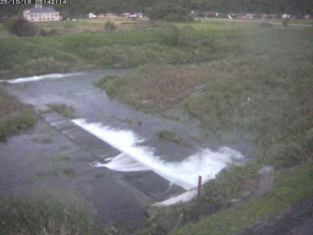 取得できませんでした