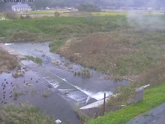 取得できませんでした