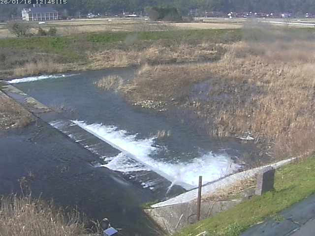 取得できませんでした