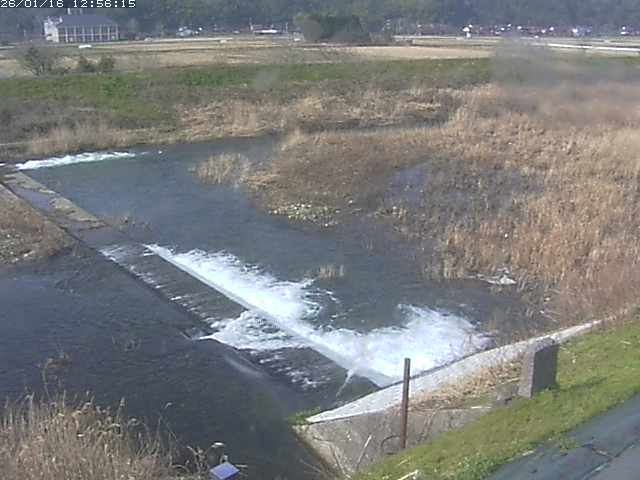 取得できませんでした