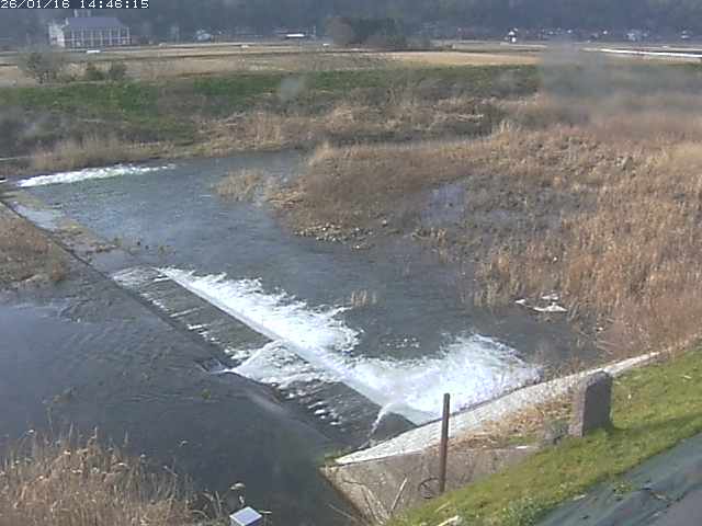 取得できませんでした