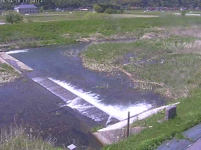 取得できませんでした