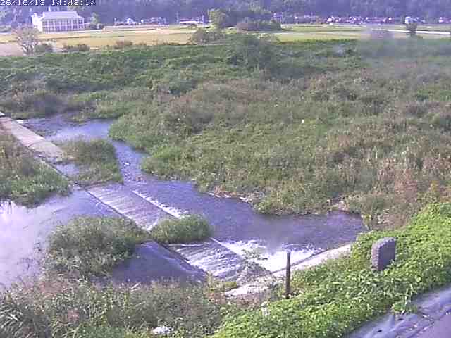 取得できませんでした