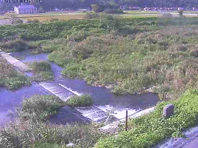 取得できませんでした
