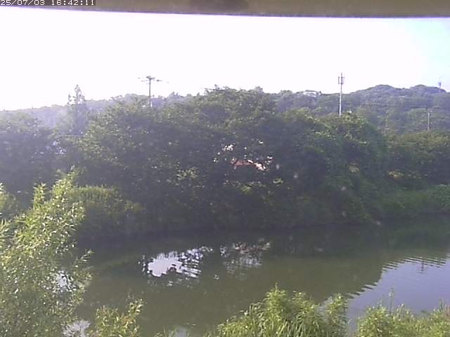 取得できませんでした