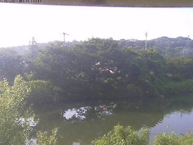 取得できませんでした