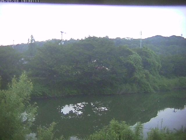 取得できませんでした
