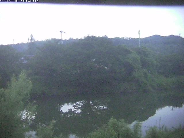 取得できませんでした