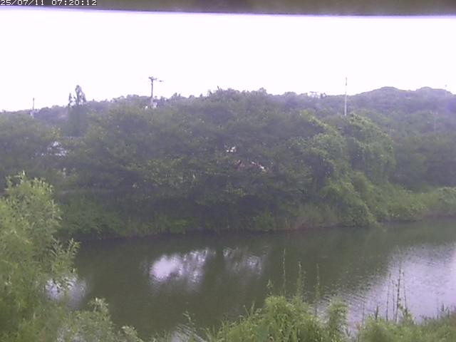 取得できませんでした