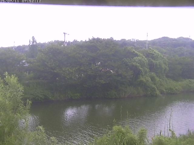 取得できませんでした