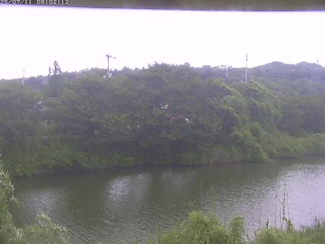 取得できませんでした