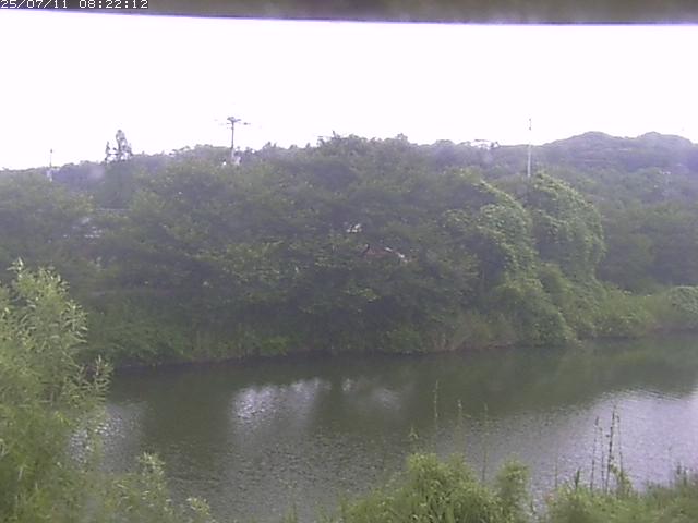 取得できませんでした