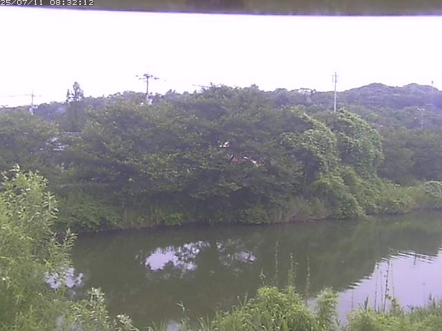 取得できませんでした