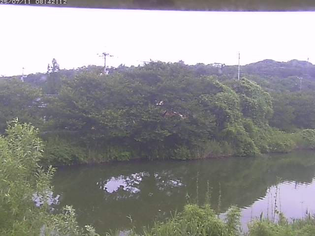 取得できませんでした