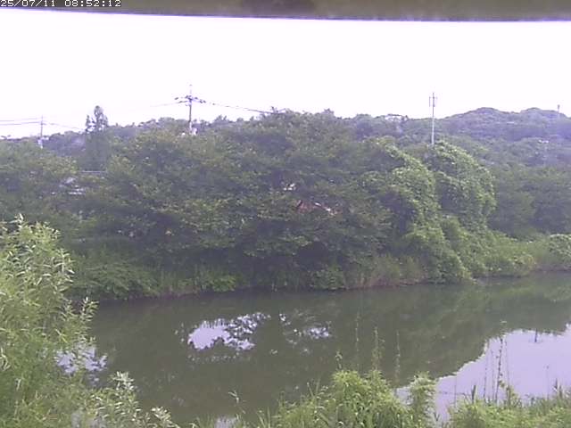取得できませんでした