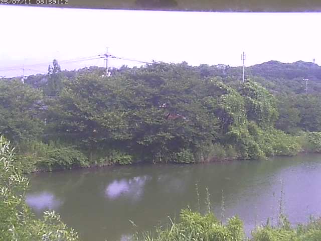 取得できませんでした