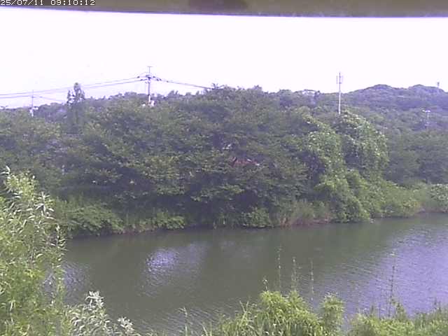 取得できませんでした