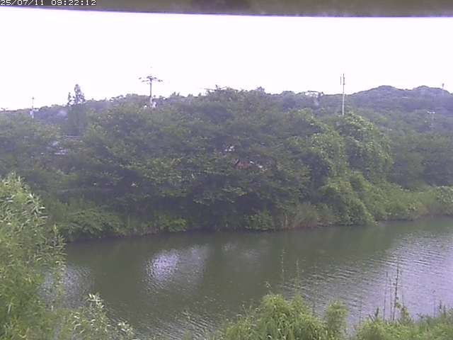 取得できませんでした