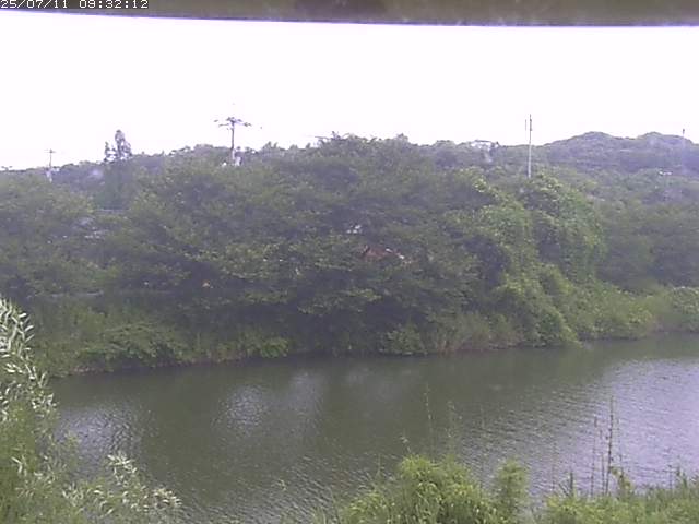 取得できませんでした
