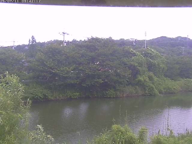取得できませんでした