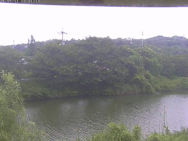 取得できませんでした