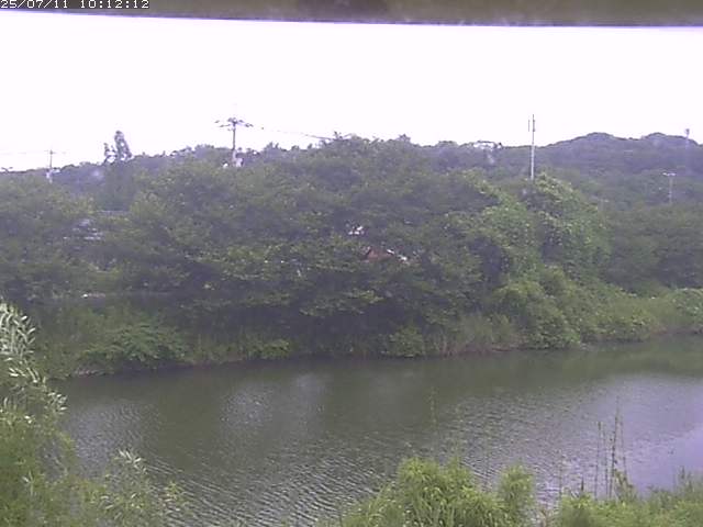 取得できませんでした