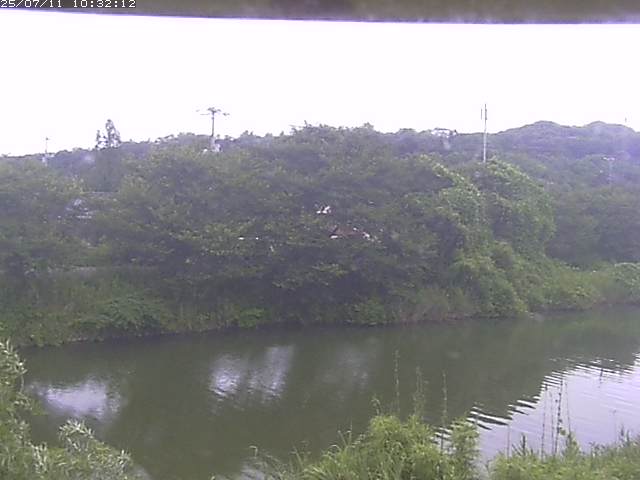 取得できませんでした