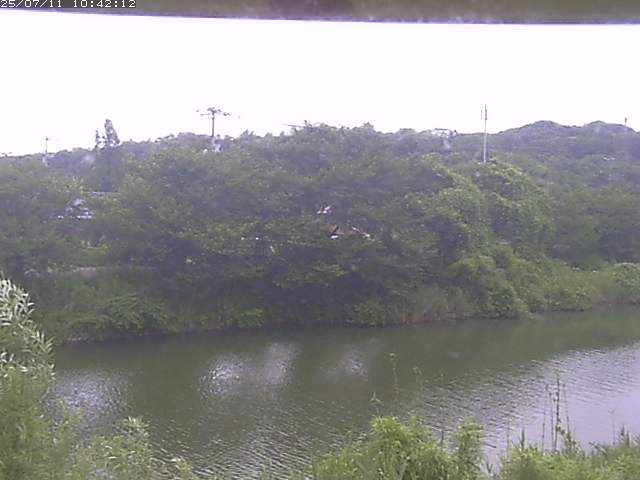 取得できませんでした