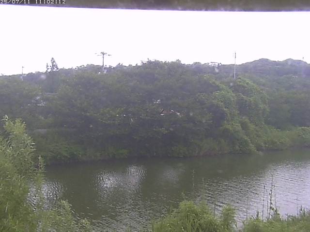 取得できませんでした