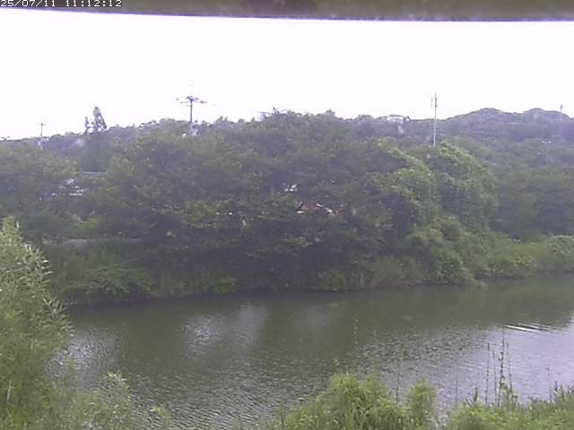 取得できませんでした