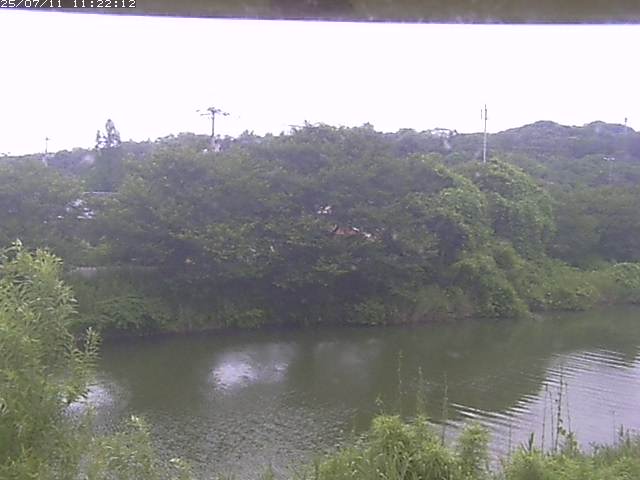 取得できませんでした