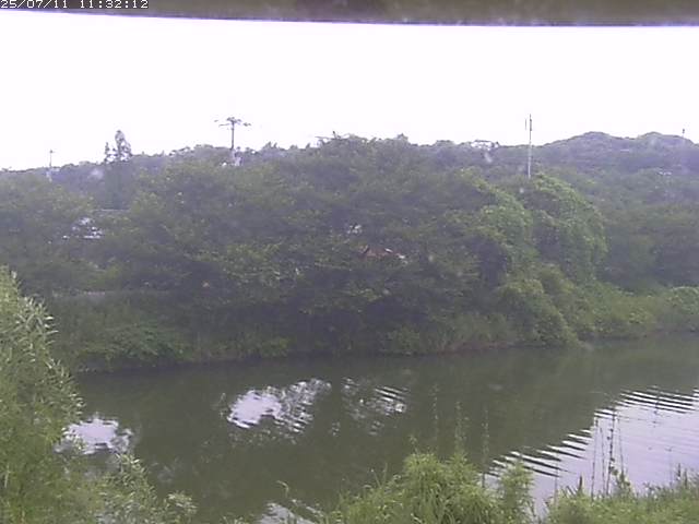 取得できませんでした