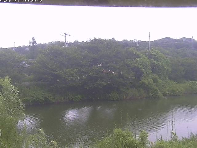 取得できませんでした